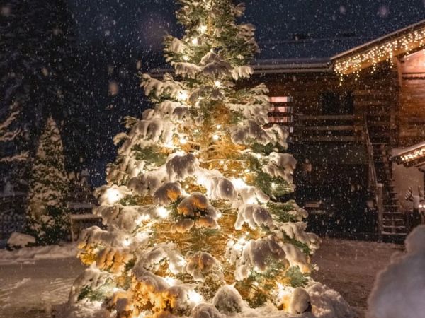 1 . A d v e n t von jetzt an soll unser Baum erzählen 🗯 ✨ Von Spuren der Wärme, die hier gefunden werden. ... ✨ Von...