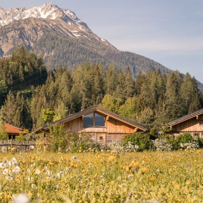 Zwischen Blüten & Sonnenstrahlen